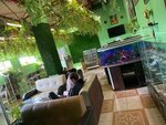 Ремонт лобовых стекл (Ryabinovaya Street, 28Ас2), auto detailing