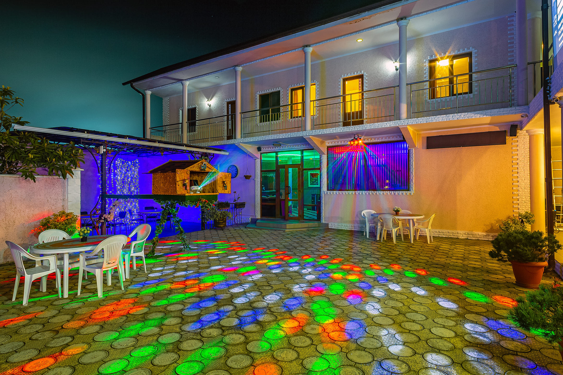 Фото Платан