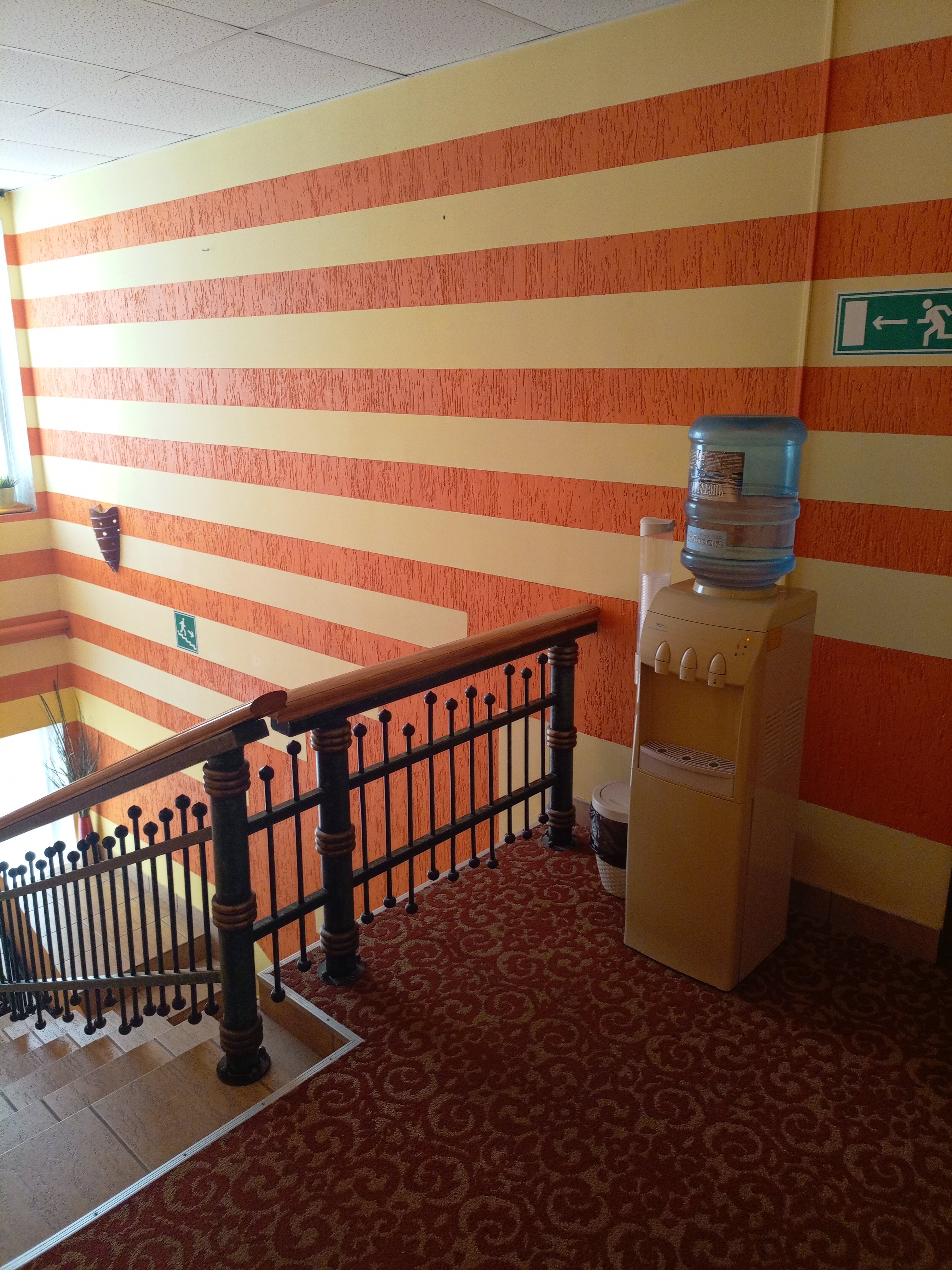 Фото Апельсин