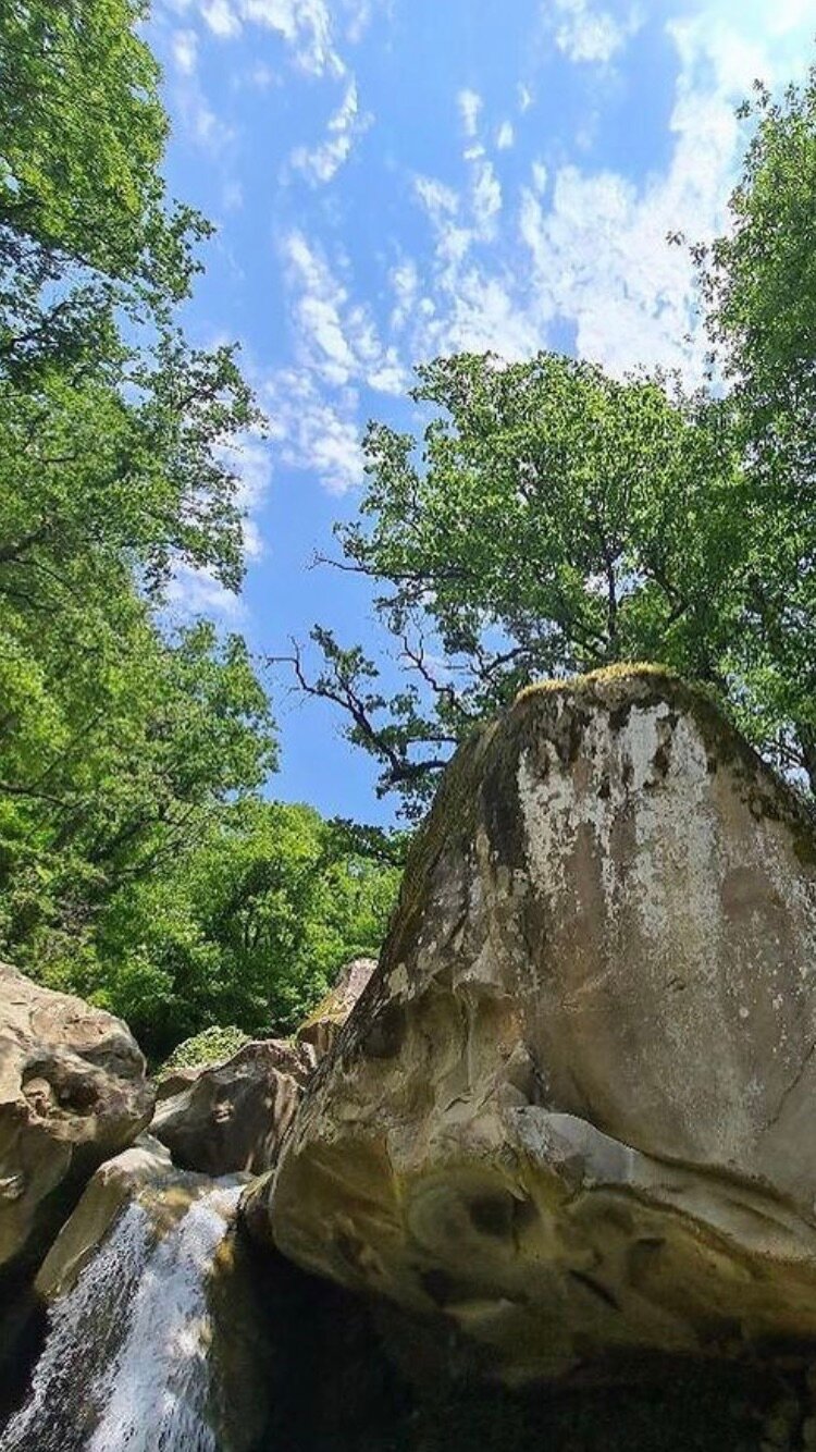 Фото Зеленый рай