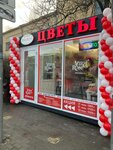 ViraRose (Krasnoarmeyskaya Street, 220), flower shop