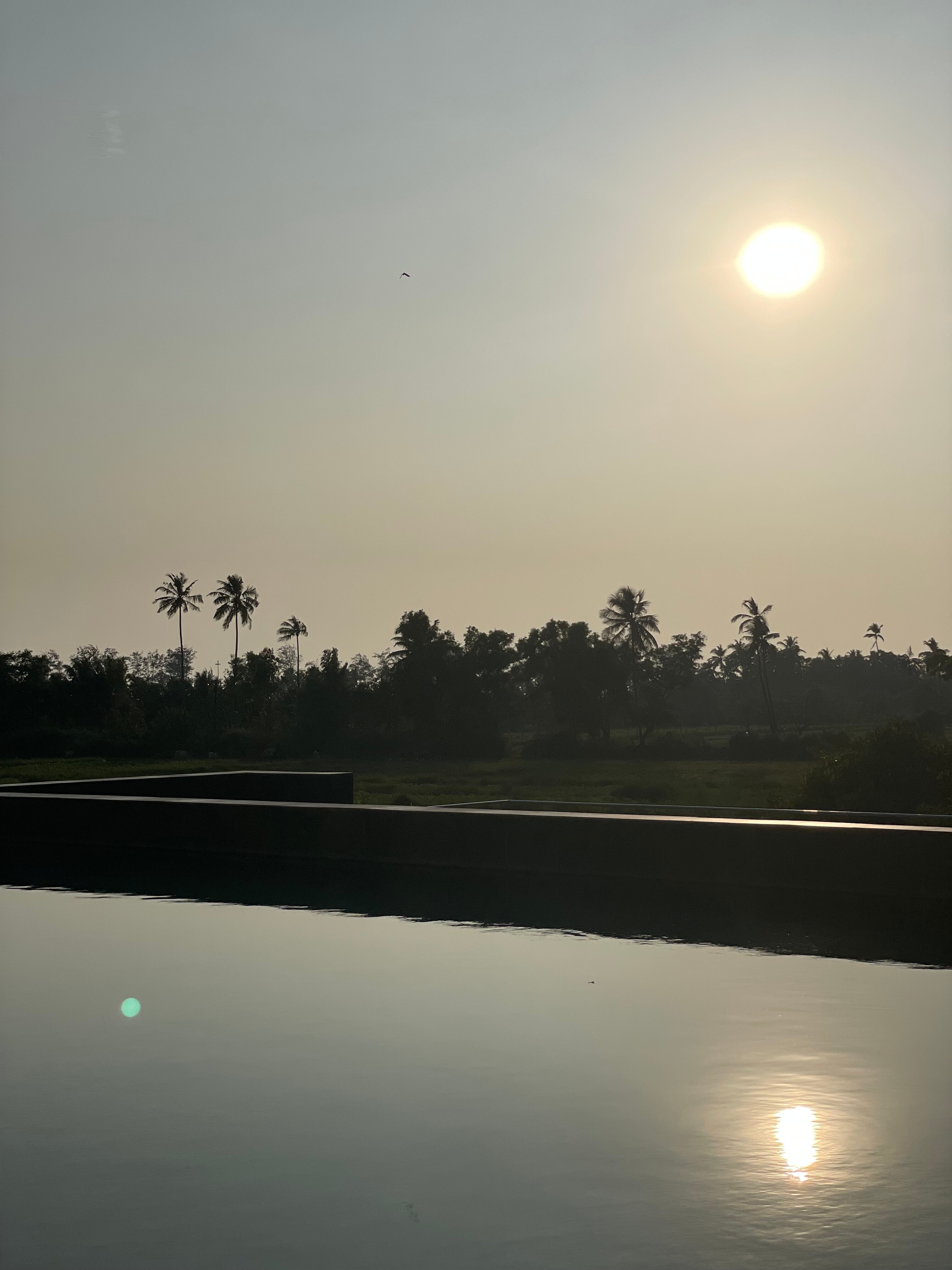 Фото The Diwa Club by Alila Diwa Goa - A Hyatt Brand