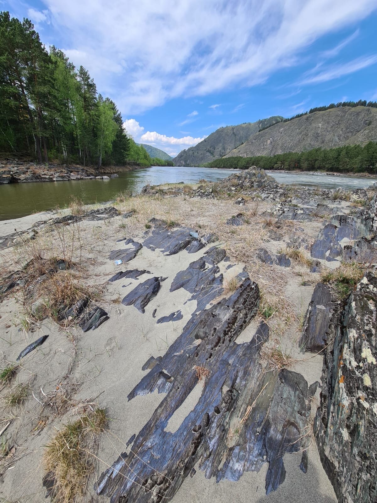 Фото Клубника & Мята