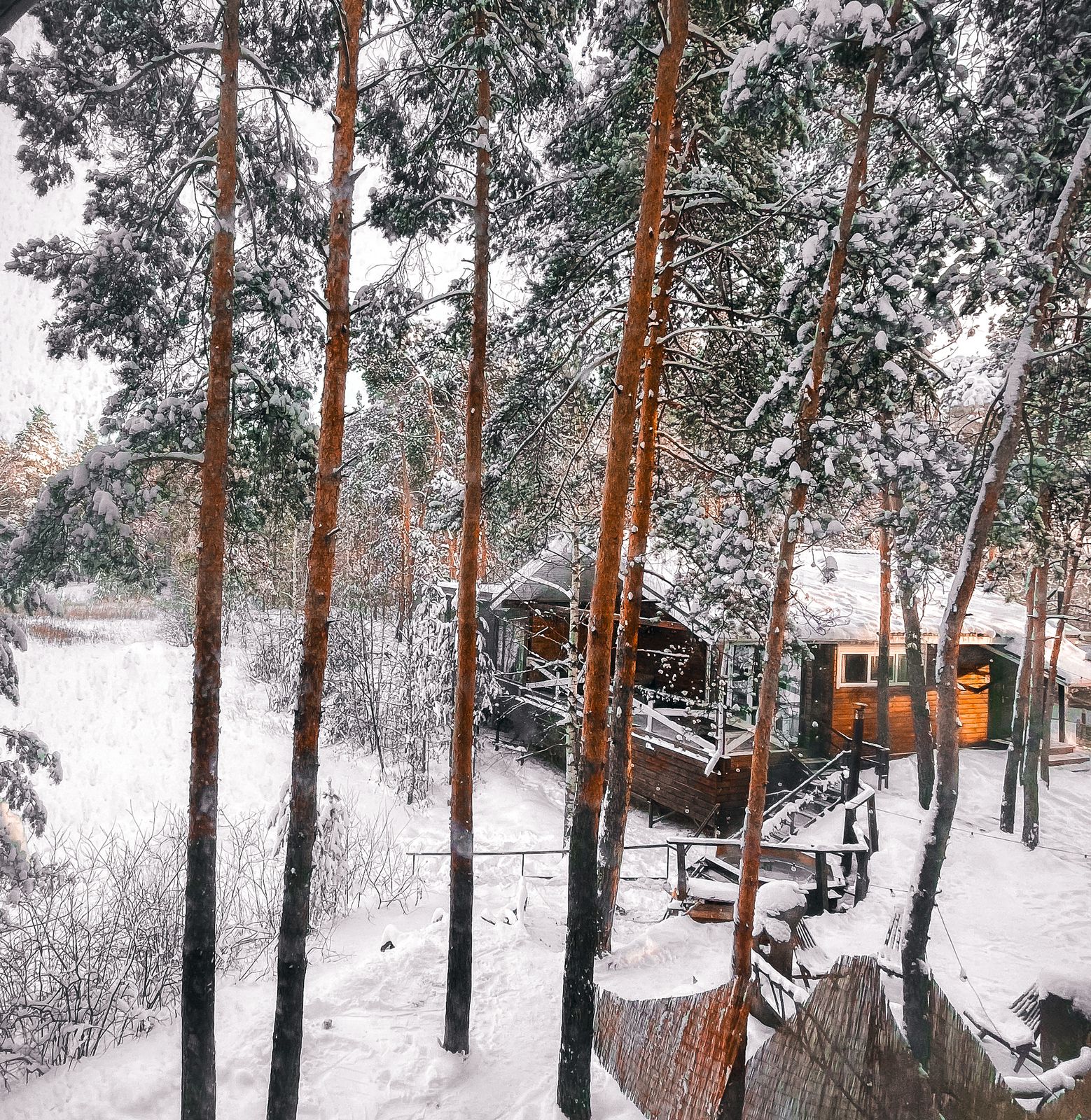 Фото Лесная сказка