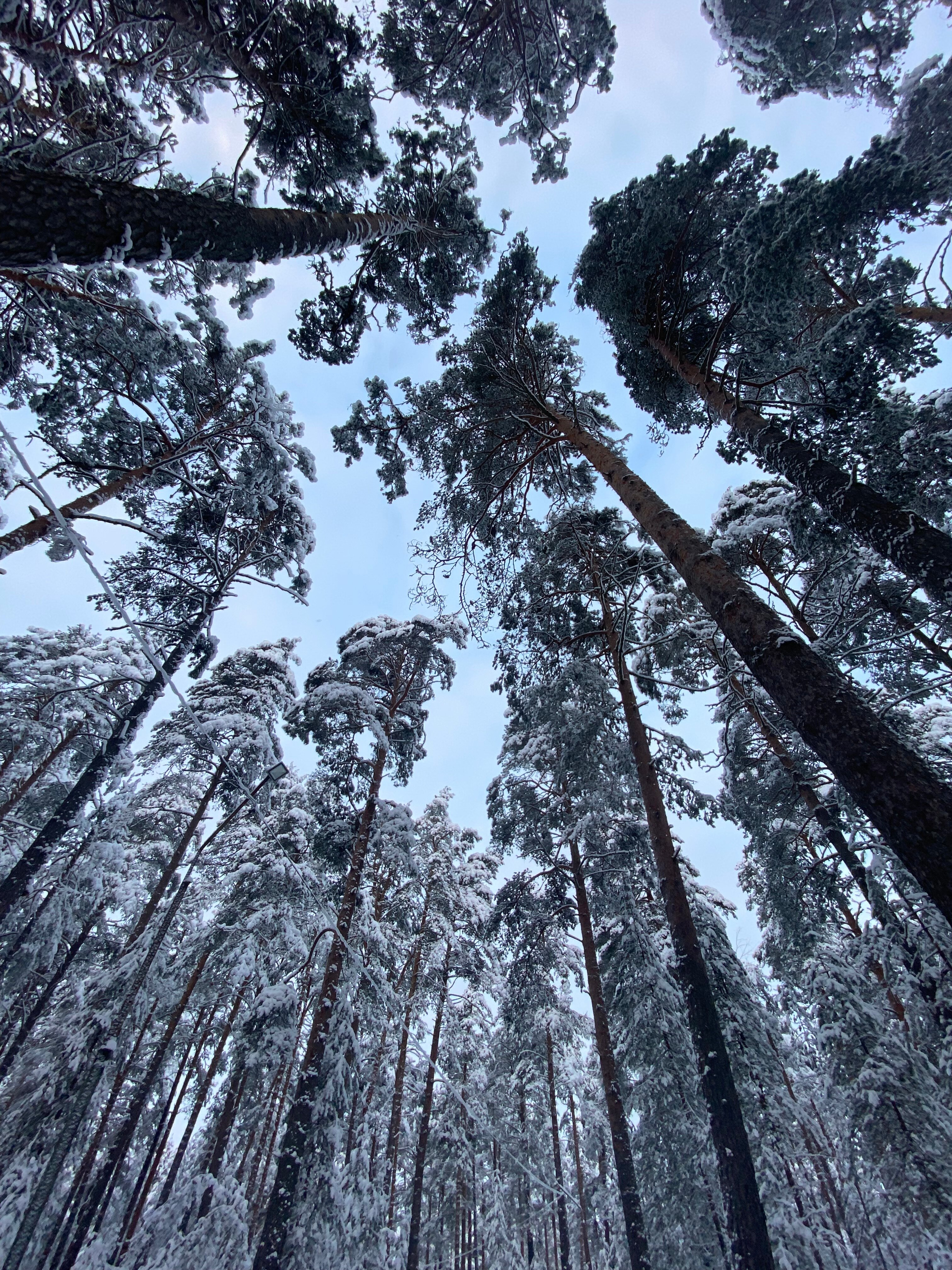 Фото Каменная гора