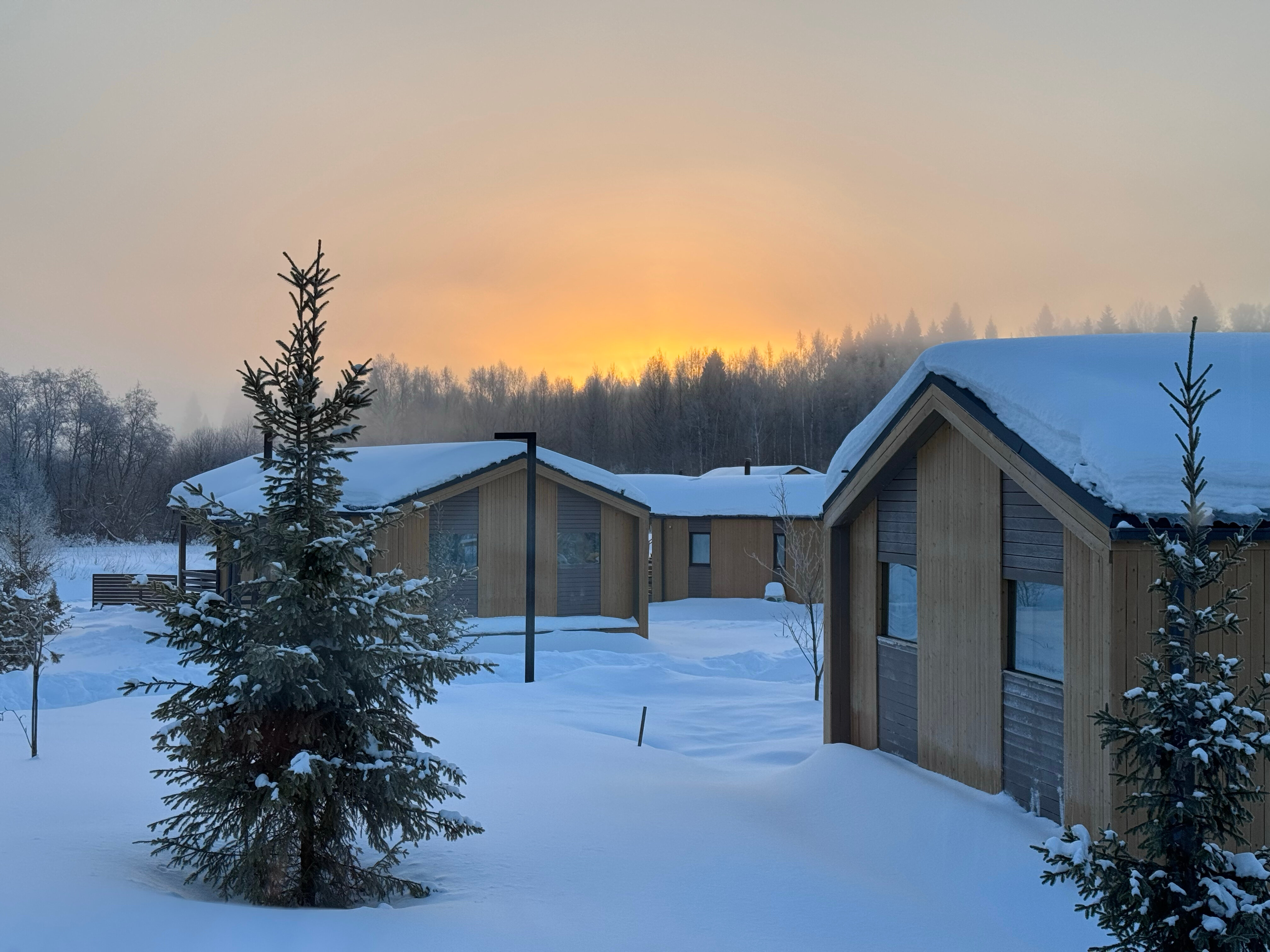 Фото Виш Хоум Яхрома