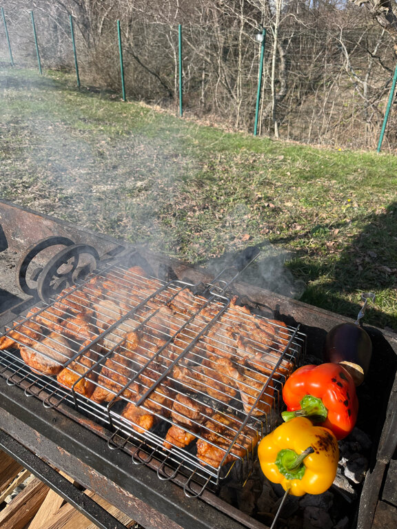 Фото Стрижи