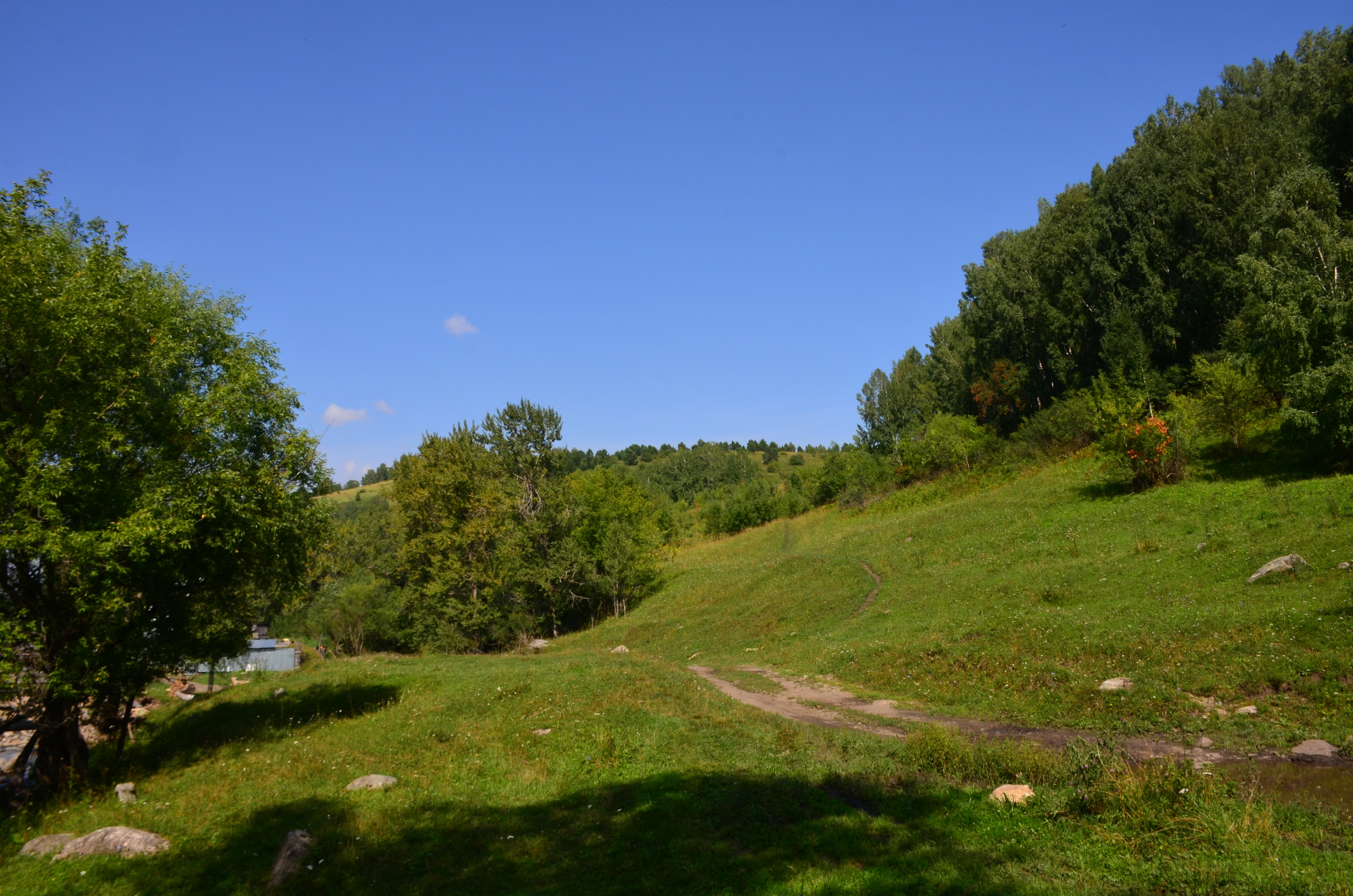 Фото Тихий Лог