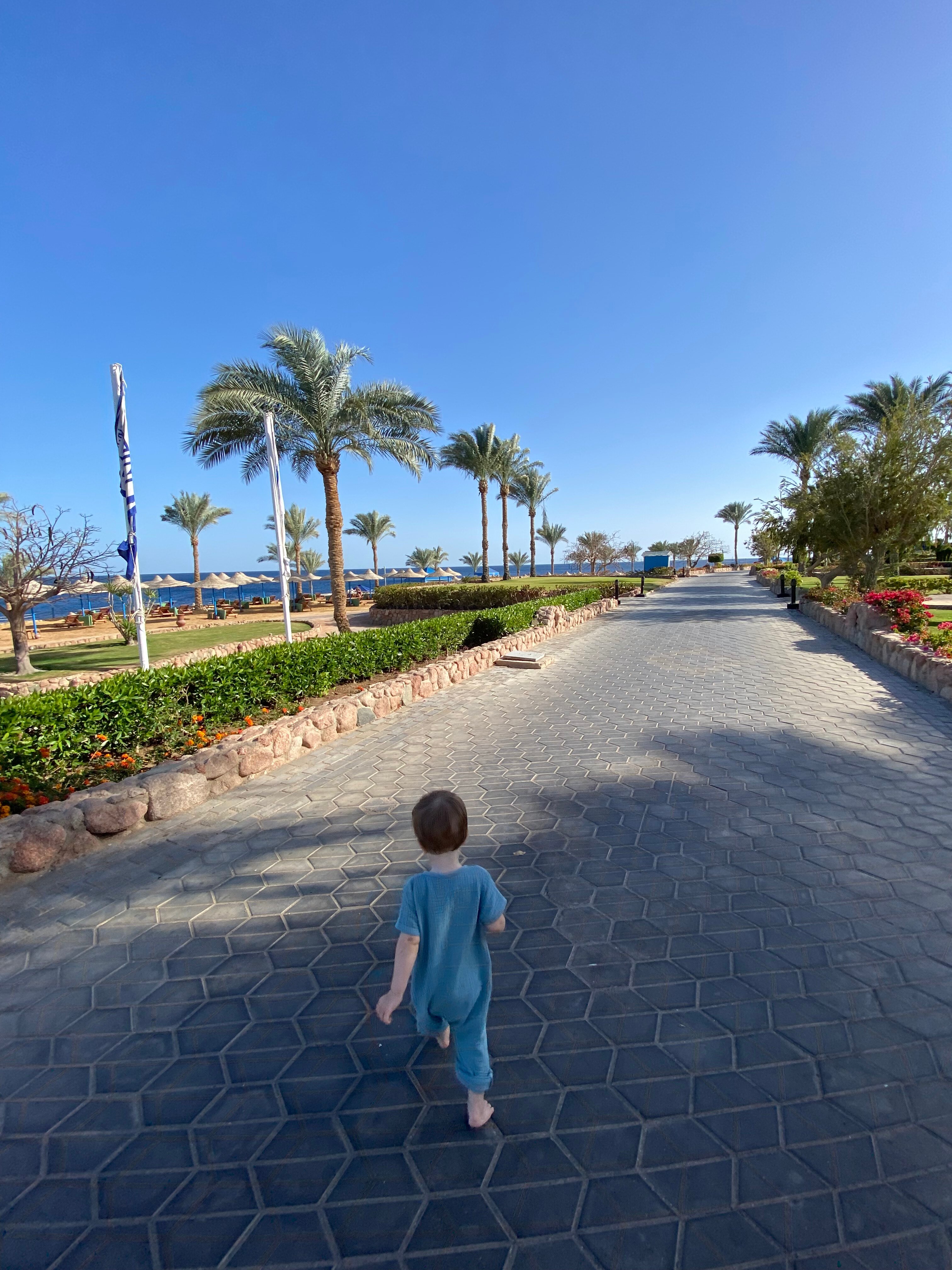 Фото Renaissance Sharm El Sheikh Golden View Beach Resort
