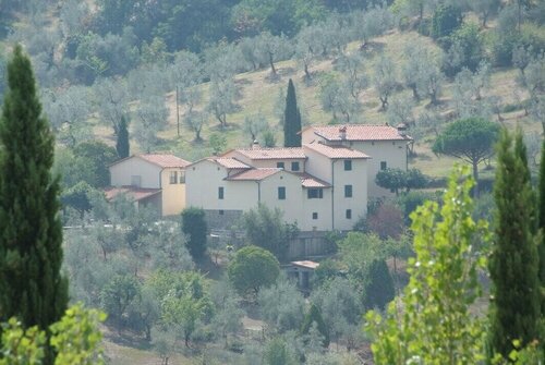 Fuccioli II