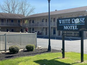 Гостиница White Rose Motel