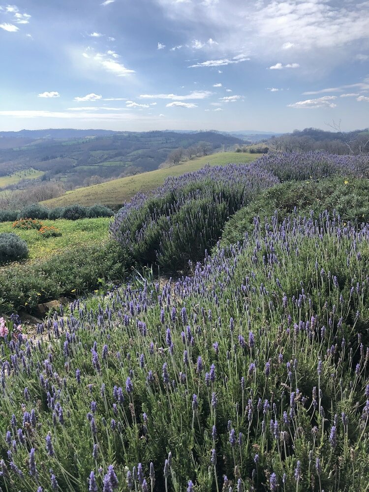 Фото Agriturismo Poggio Monte
