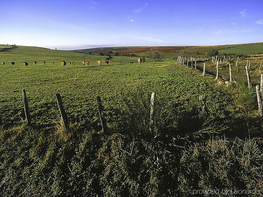 Фото Hotel Mercure Rodez Cathedrale