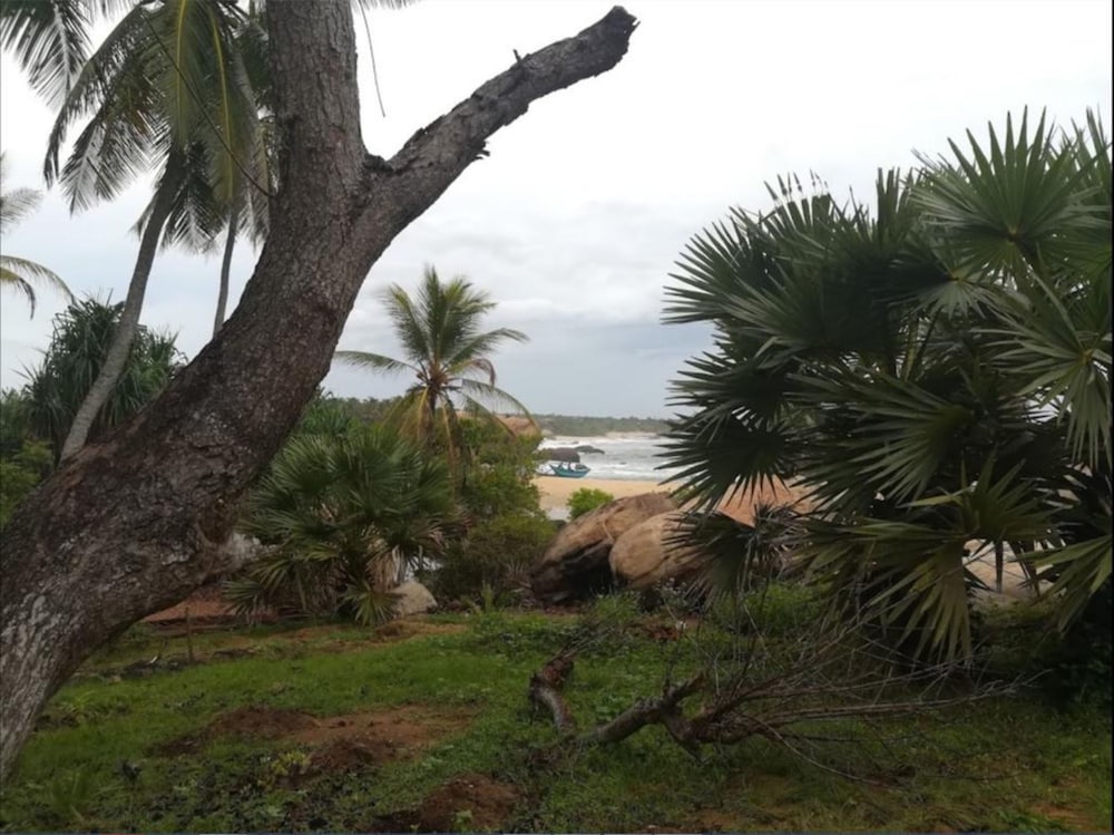 Фото Redhill Yala