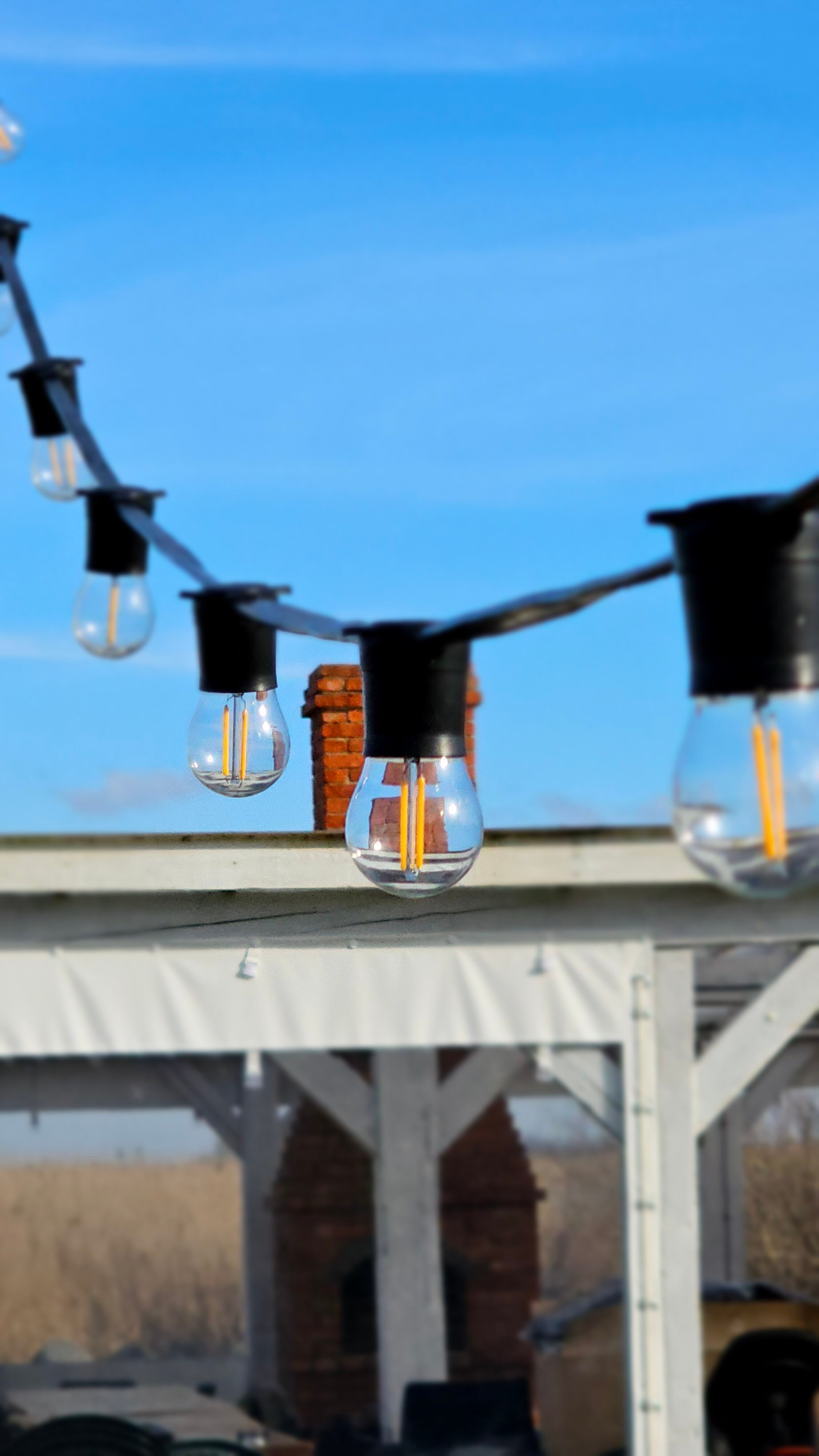 Фото Липовый Парк