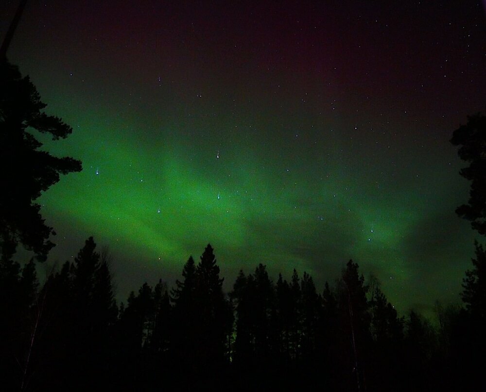 Фото Vildmarks Lodge