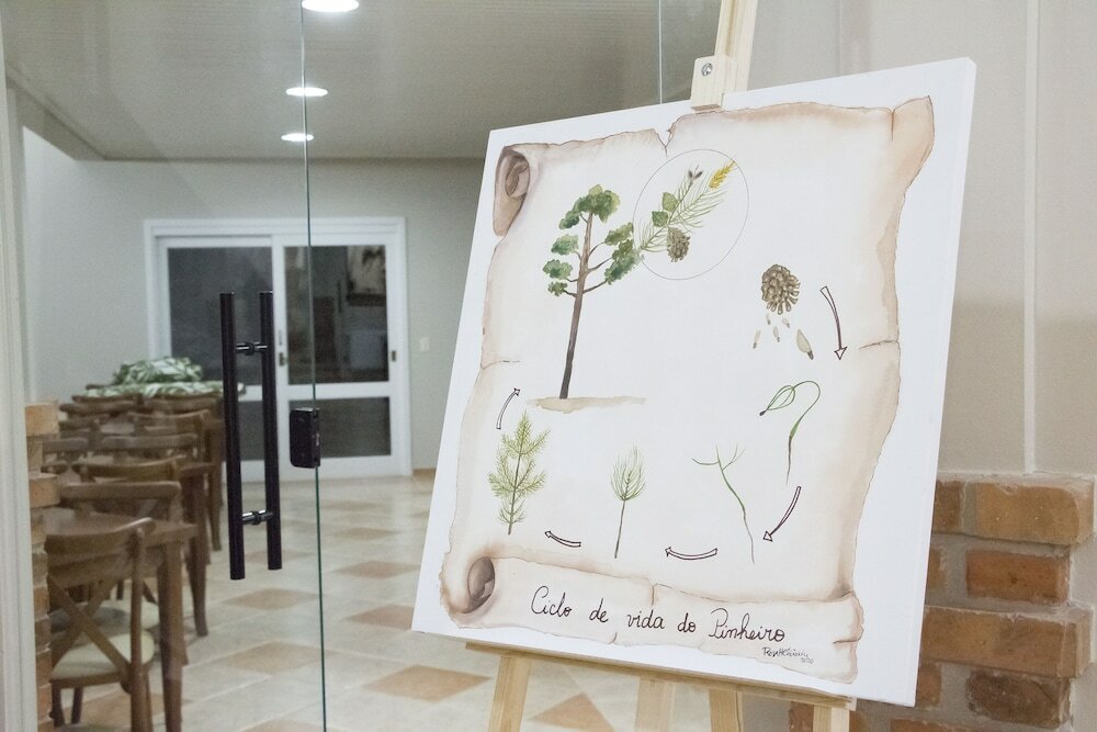 Фото Hotel Cozumel Sierra