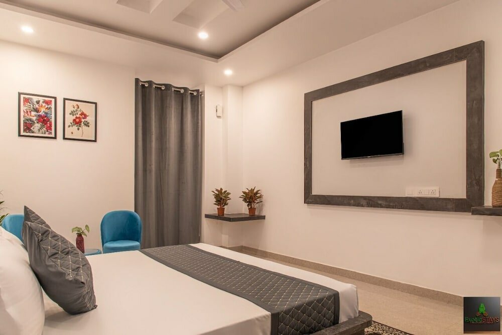 Фото The Cloud Berry