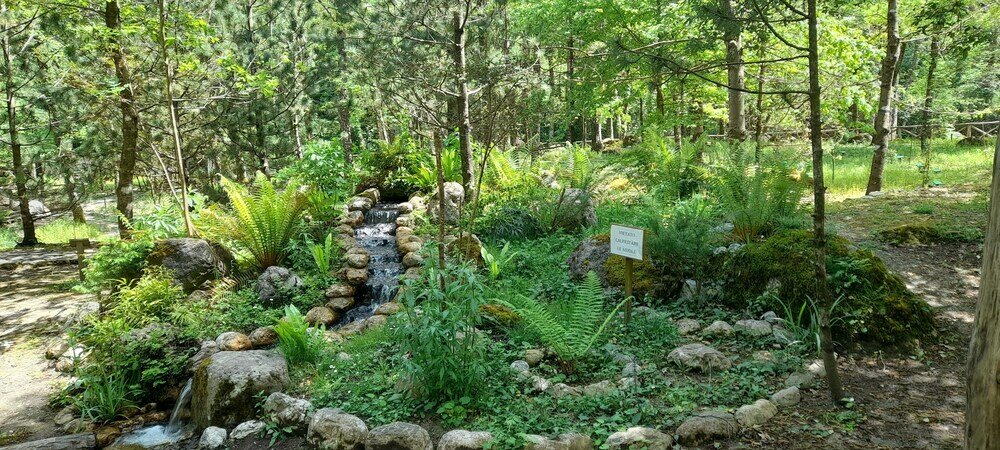 Фото Rifugio Montano