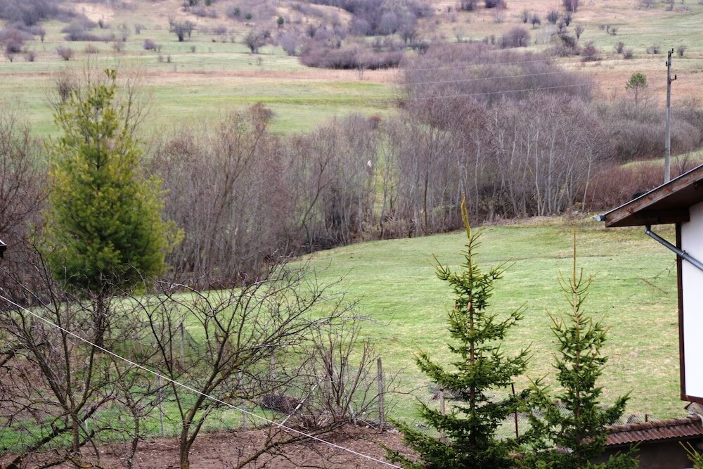 Фото Eagle Rock Holiday Apartments