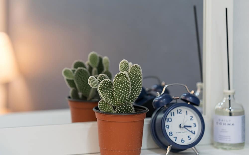 Фото Yeosu Badaya Guest House and Hostel