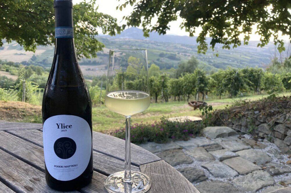 Фото Villa Verdicchio - B&b for winelovers