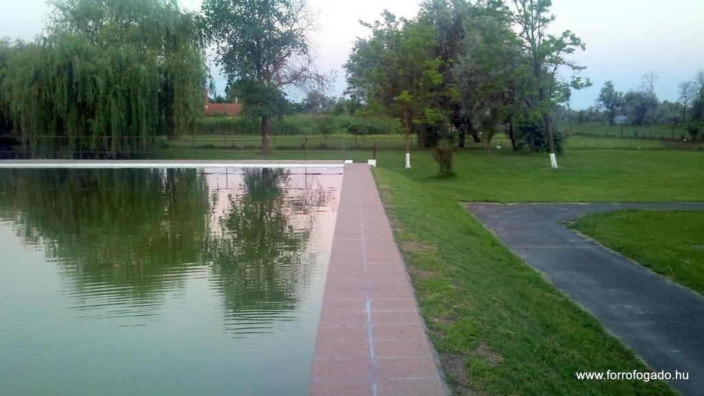 Фото 155849537155