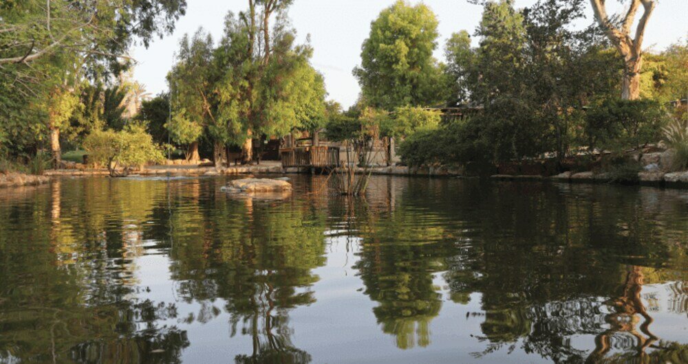 Фото Layla Glamping