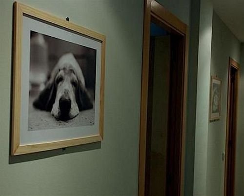 Фото Welcomer Apartments Valencia