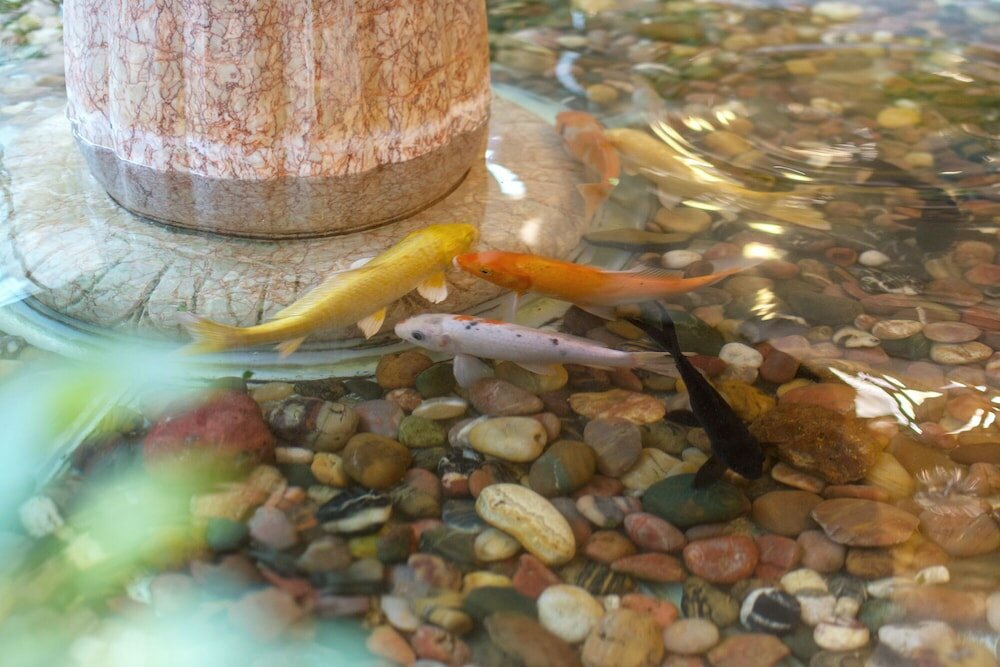 Фото Weiluola Hotel Xiamen