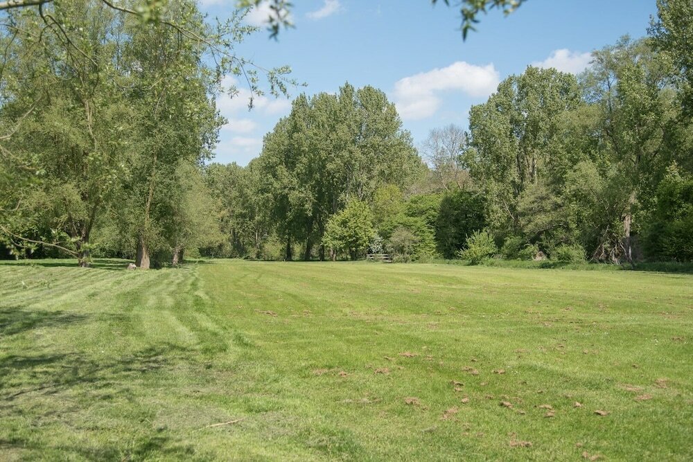 Фото Magnolia, Kingfishers