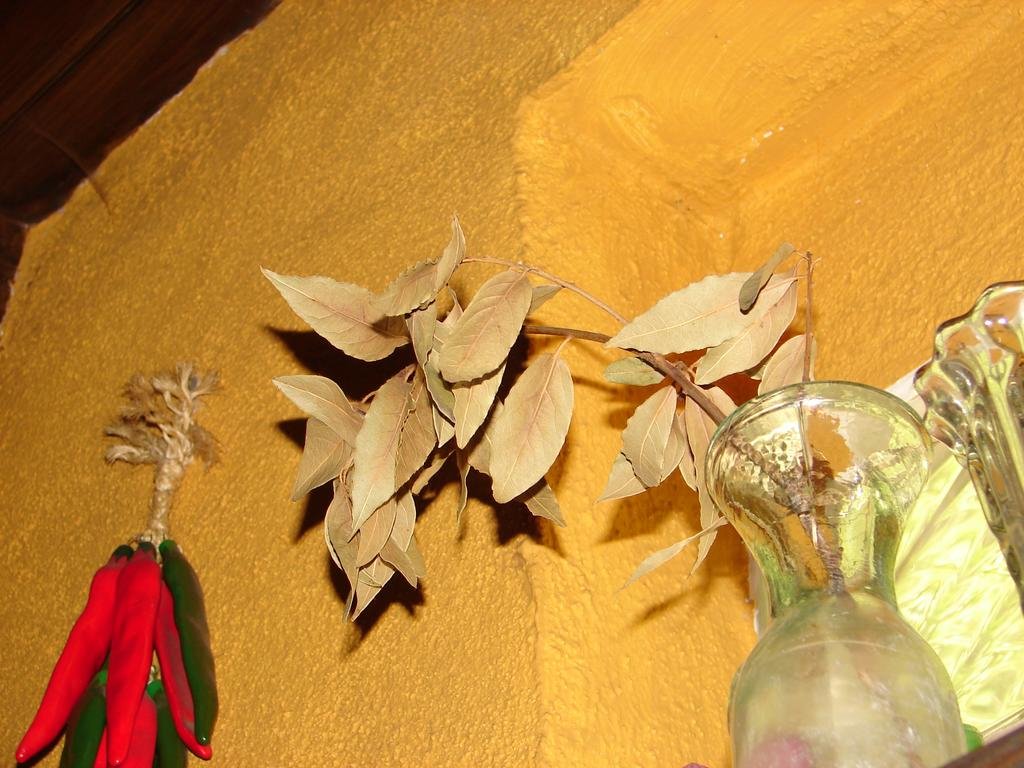 Фото Alojamiento Rural Huerto Del Francés