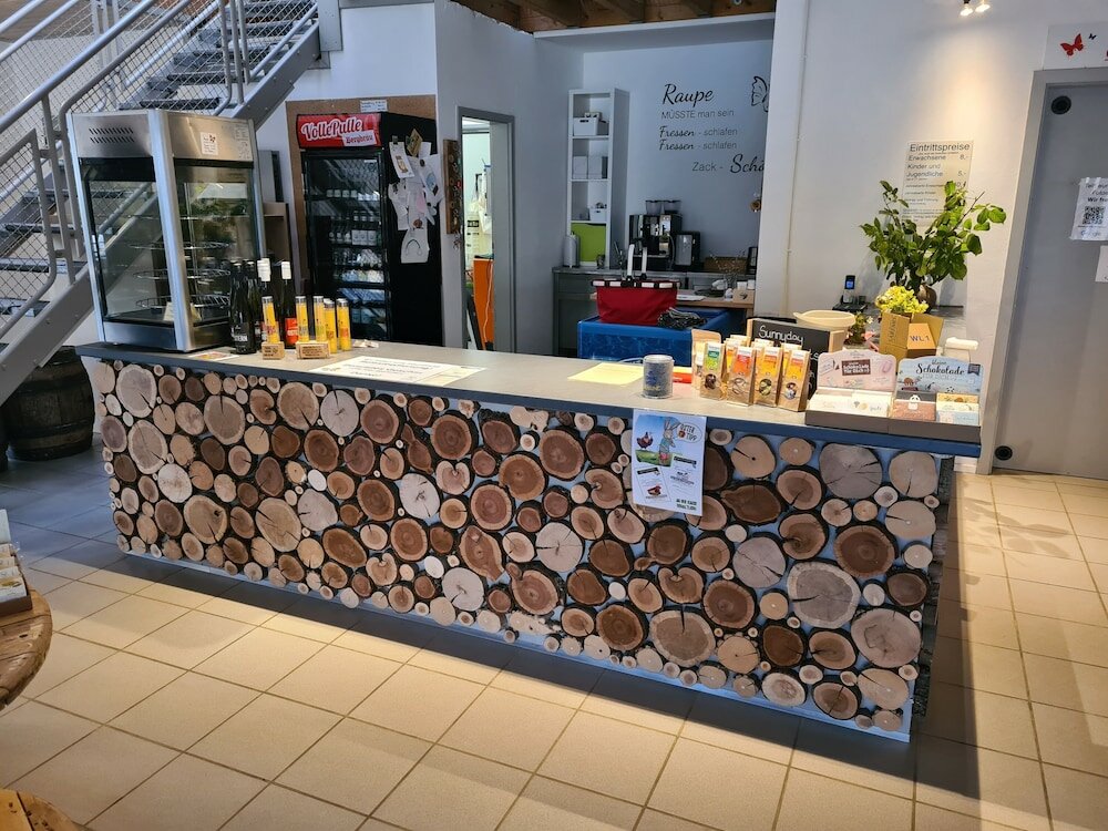 Фото Haus der Schmetterlinge