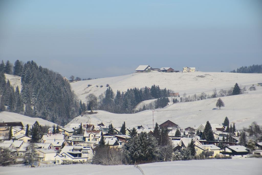 Фото Hotel Sonne