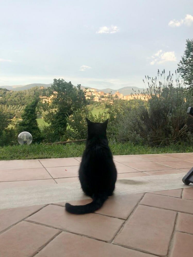 Фото Alloggio Rurale