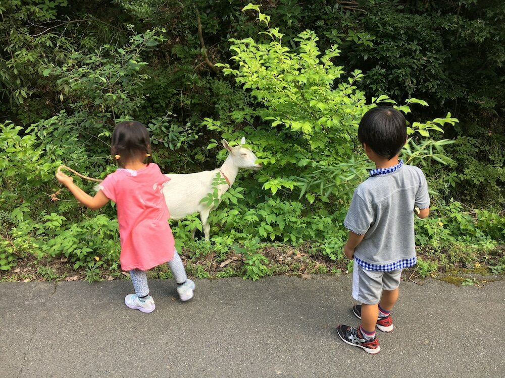 Фото Guesthouse Mori No Eki