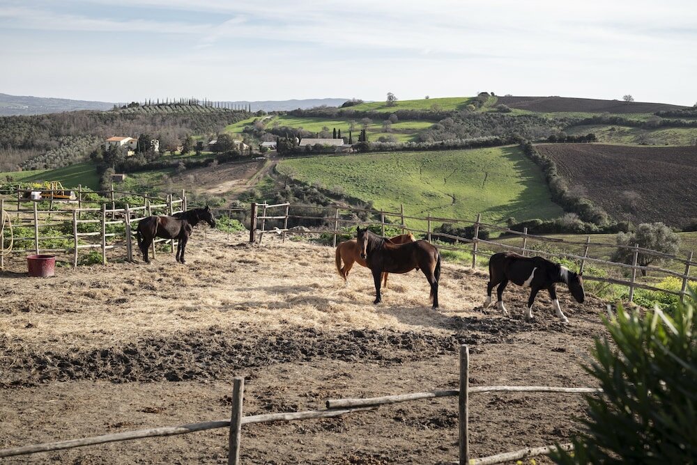 Фото Locanda Fontelupa