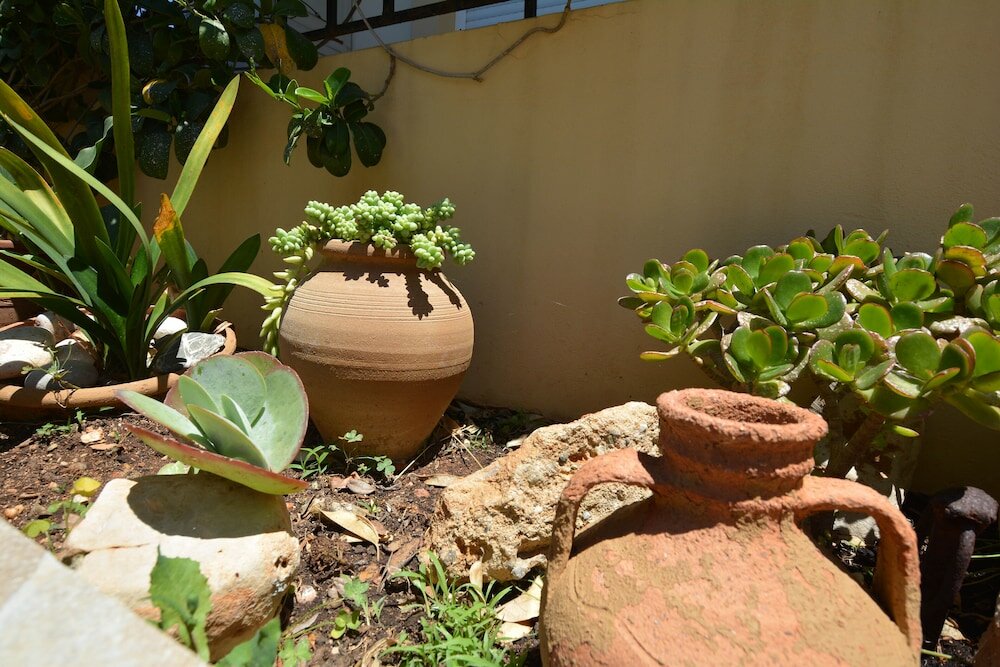 Фото Olive Oil Residence