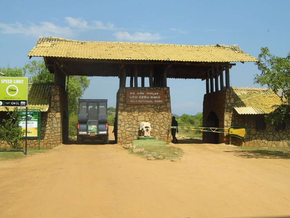 Фото Saman Resort