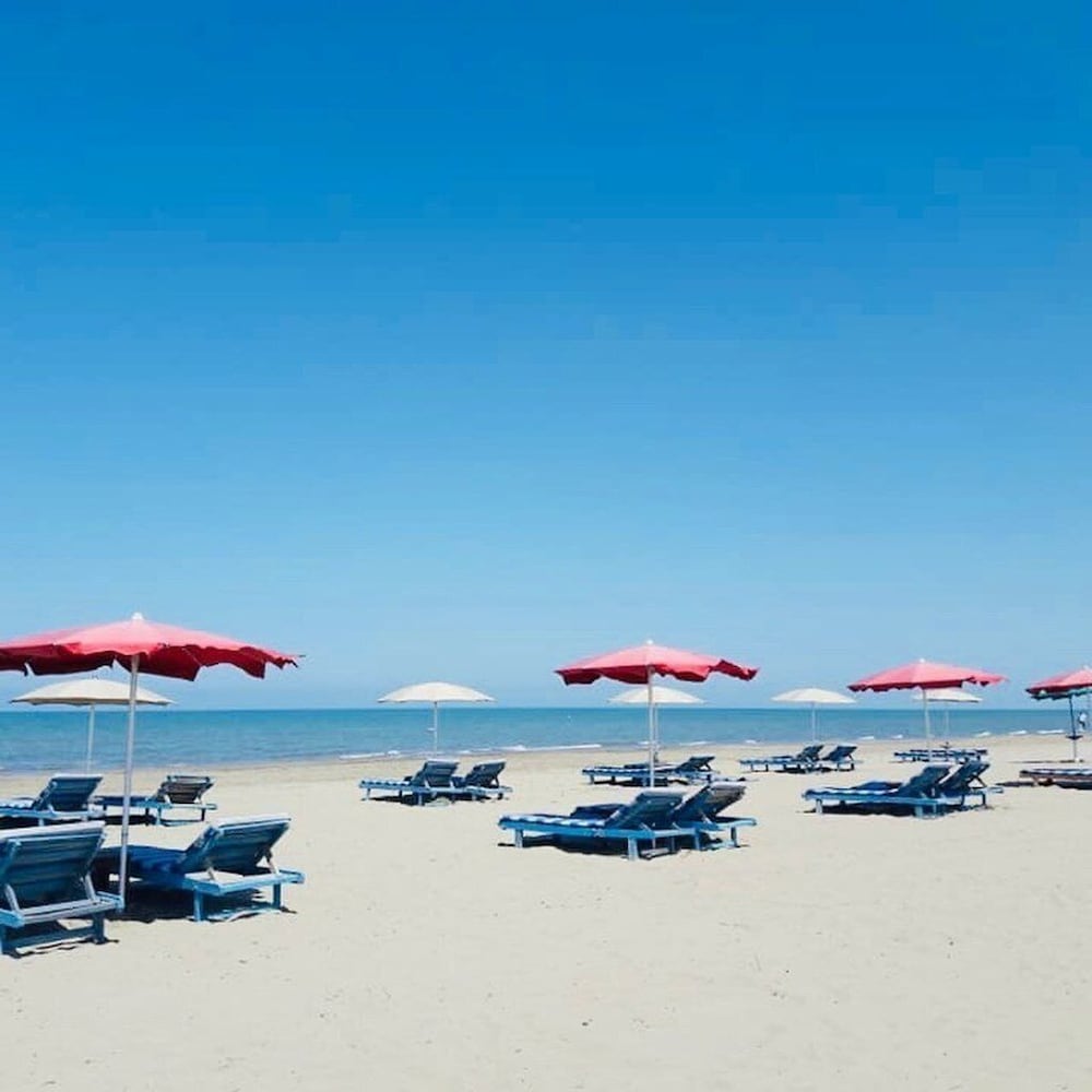 Фото Pasho's House