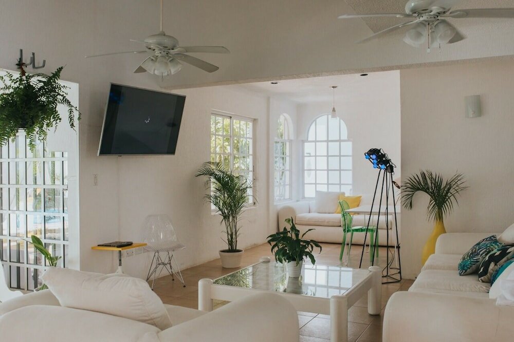 Фото Bango Mango Hostel