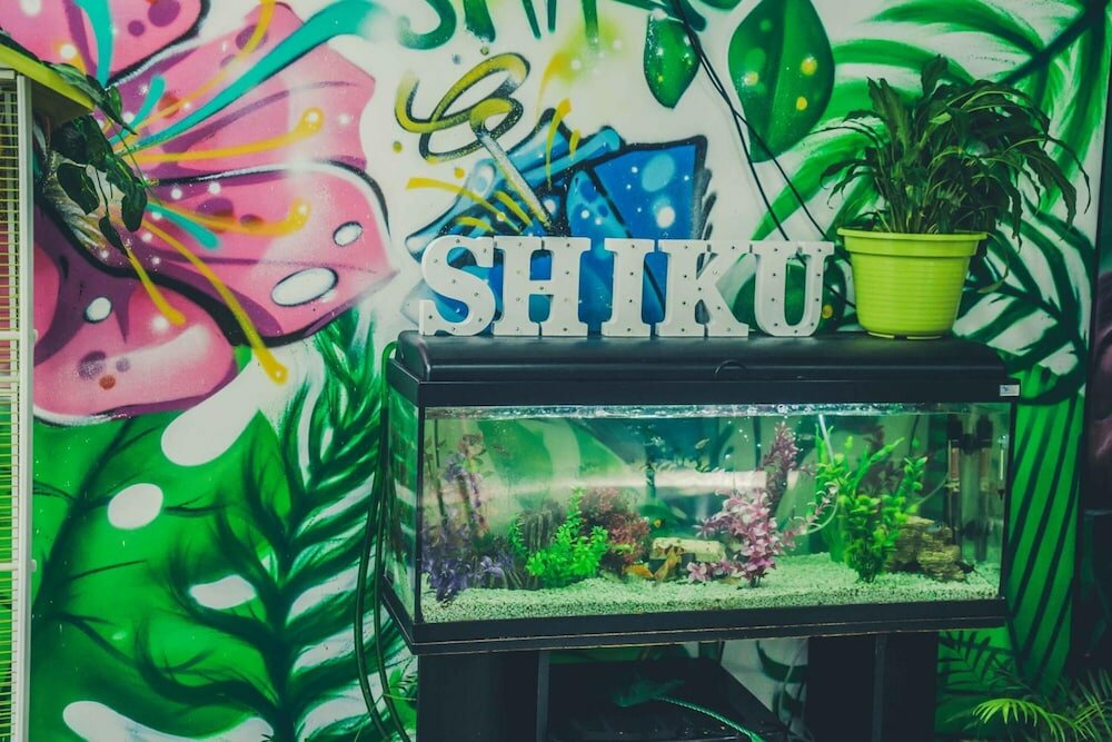 Фото Shiku Hostel