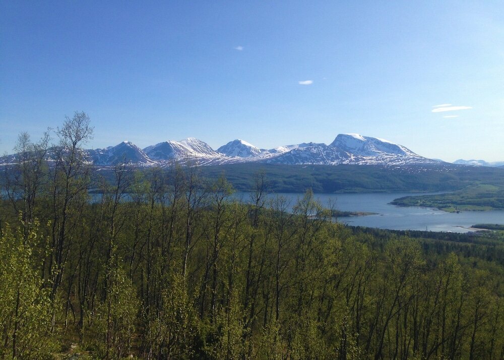 Фото Vollan Gjestestue
