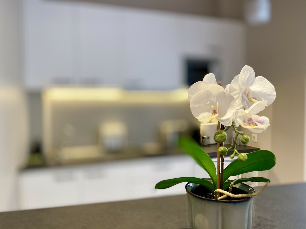 Фото Luxury Studio in Historical Center of Athens - Goldfish