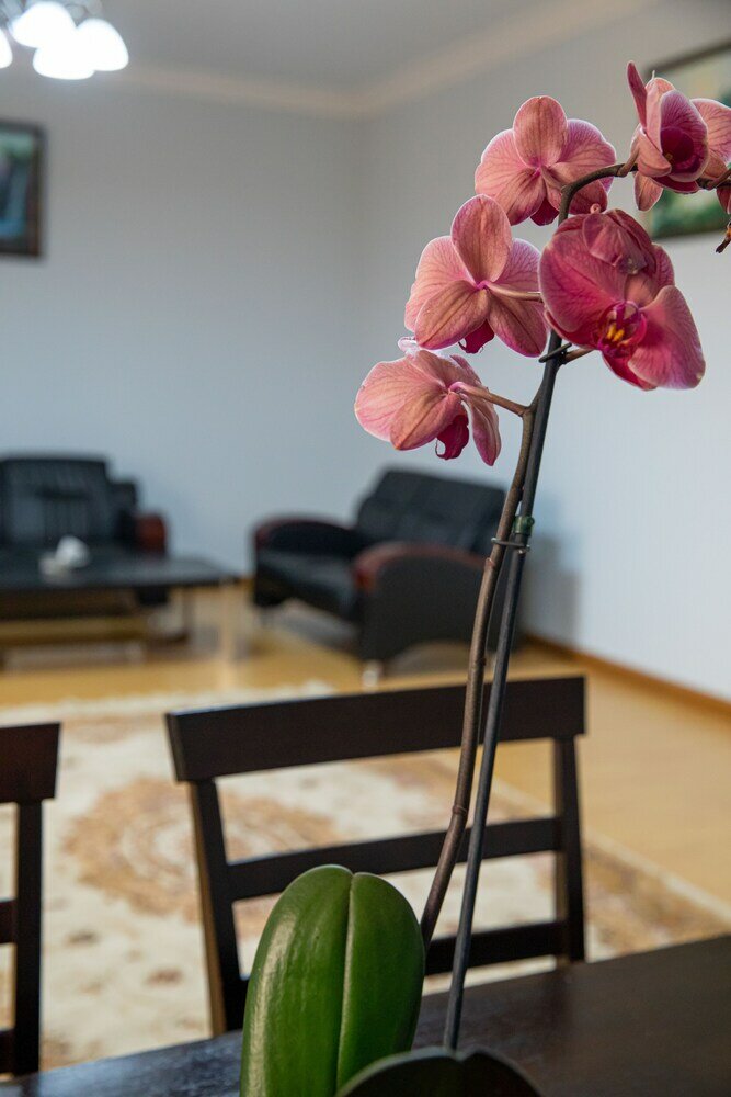 Фото La Defense Complex