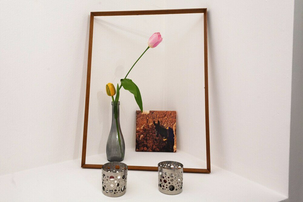 Фото BnButler - Vigevano 13