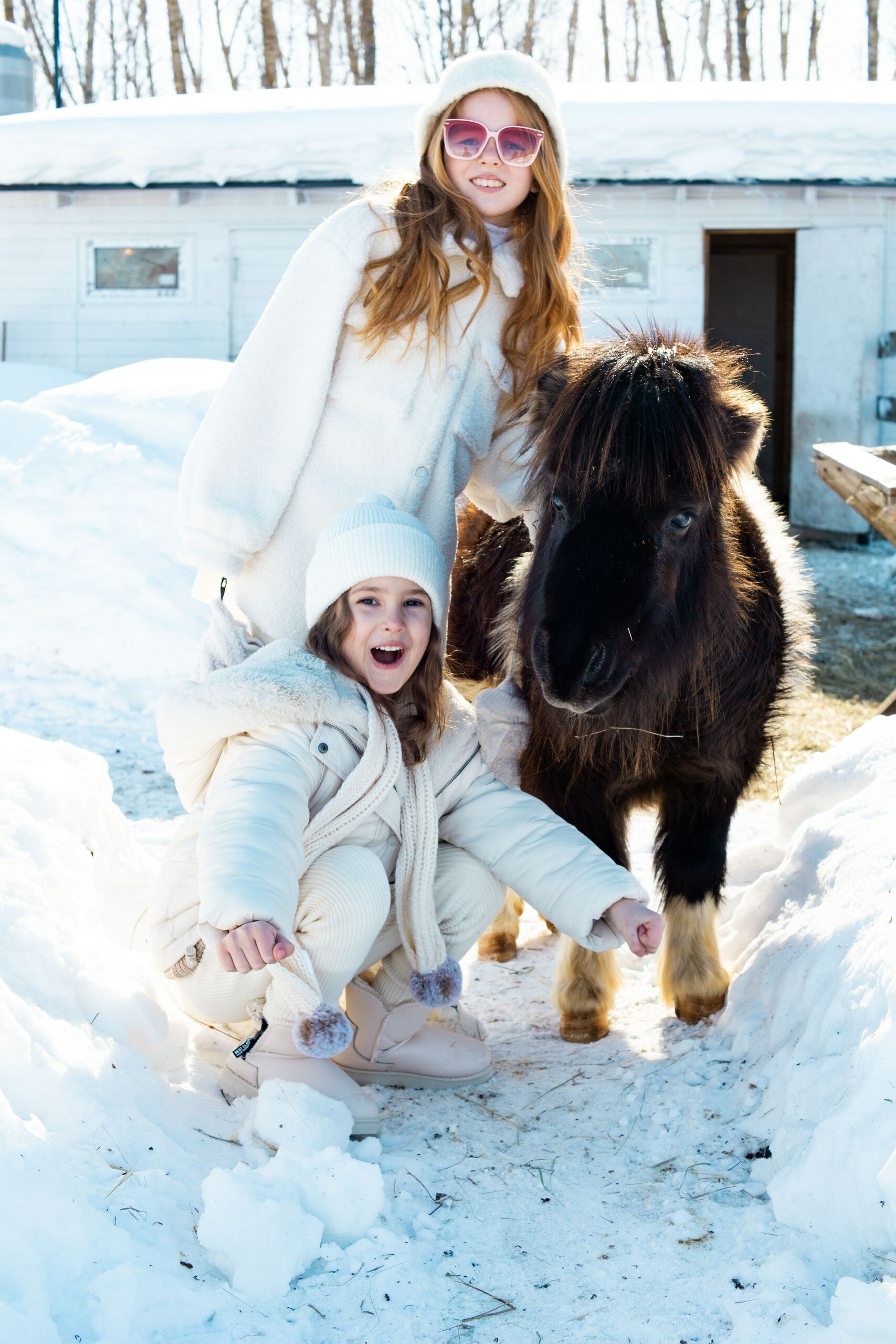 Фото Пара Альпак