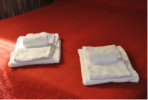 Фото Hotel Mimosa Pantheon