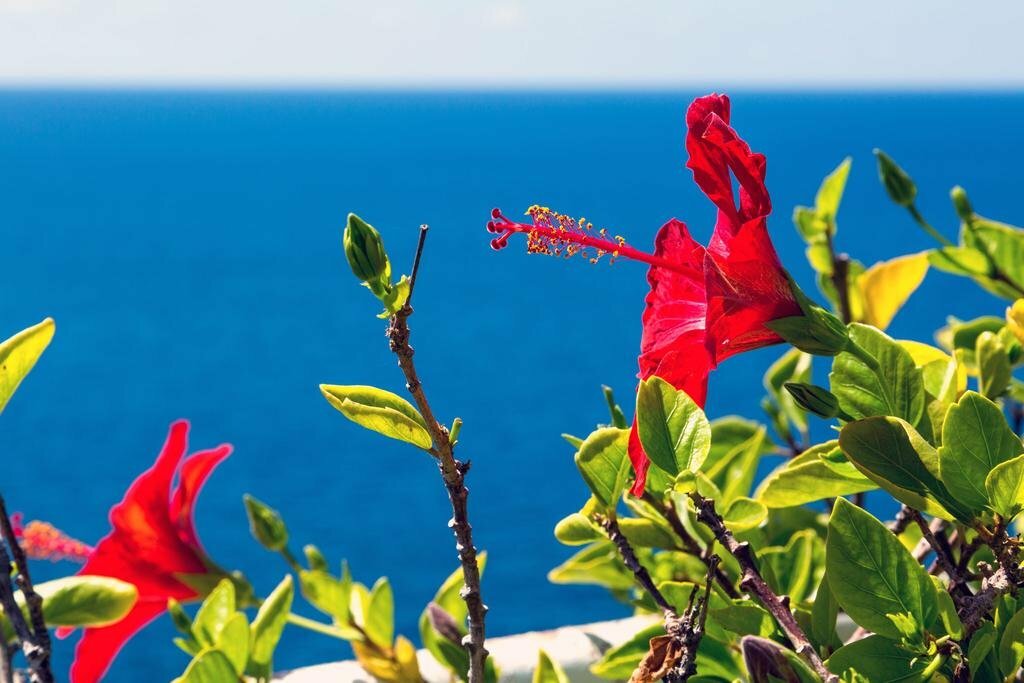 Фото Bahía Blanca