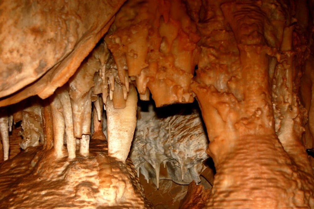 Фото Ghaub Nature Reserve & Farm